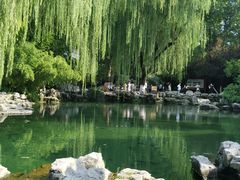 -趵突泉景区