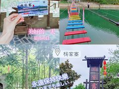 -杨家寨