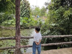 -海南热带野生动植物园