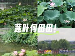 -西海子公园