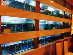 -同里湖大饭店-怡景轩中餐厅(同里古镇店)