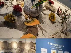 -重庆欢乐海底世界