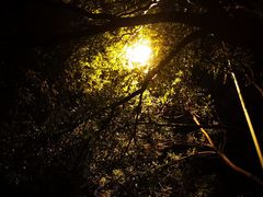 -亲兄弟真人CS团建拓展基地