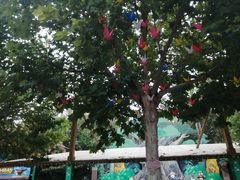 -郑州方特梦幻王国