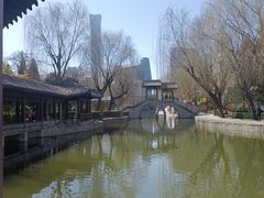 -团结湖公园