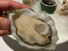 -Oyster Talks 四度蚝法餐厅
