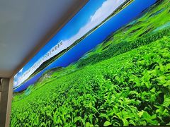 -日月永和中国餐饮名店(凤凰店)