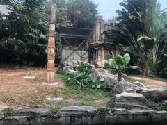 -深圳野生动物园