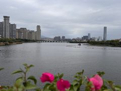 -厦门园林博览苑