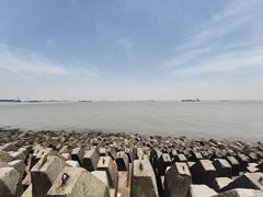 -上海滨江森林公园