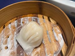 维园虾饺皇-维园悦谱·海派家常菜(乌鲁木齐南路店)