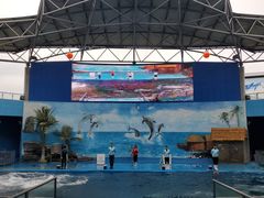 -石林冰雪海洋世界