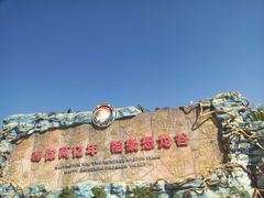 -世界恐龙谷景区