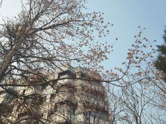 -北京急救科技馆