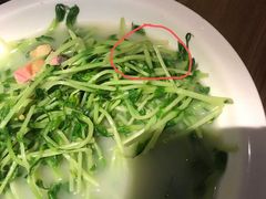 上汤豆苗-首秀·四川料理(星耀101店)