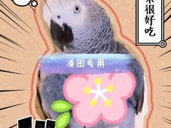 -bluefrog蓝蛙(悠唐购物中心店)