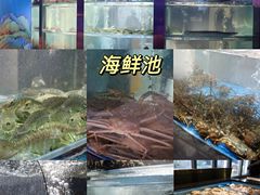 -1718海鲜姿造(苏宁宴请臻选店)