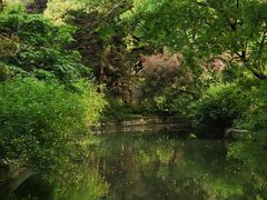 -上海醉白池公园