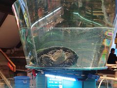 -魏铭鱼头捞饭(晋阳路店)