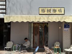 -椿树咖啡