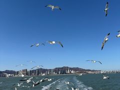 -威海九禧海鲜居·猛火现炒·鲜活海鲜(竹岛店)