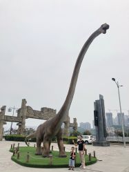 -恐龙探索乐园(磁器口店)