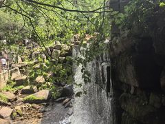 -汤旺河林海奇石景区
