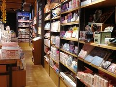-九木杂物社(东方宝泰店)