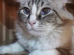 -白兔子密室(长寿路店)