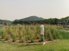 -十三陵水库