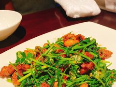 葱爆羊肉-小南洋海景餐厅(深圳湾店)