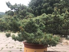 -宝岩生态观光园
