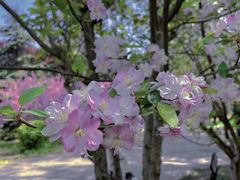 -洛阳市隋唐城遗址植物园