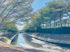 -亚龙湾国际玫瑰谷