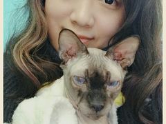 -李小姐の猫咖啡馆(五角场店)