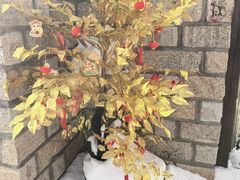 -威海华夏城景区