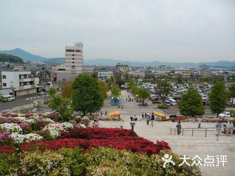 西山公园-图片-日本景点玩乐-大众点评网