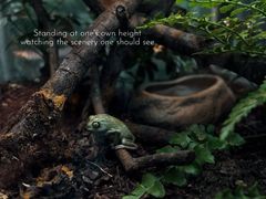 -上海昆虫博物馆