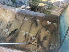 -姥家大锅台水库渔家