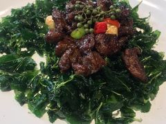 九层塔牛肉粒-青梅酒肆PLUS(长白仙岛北路店)