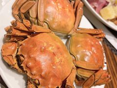 -君来湖滨饭店·玫瑰园