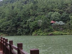 -广州白江湖森林公园