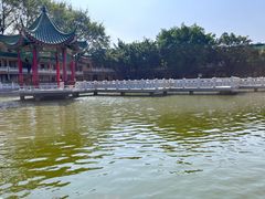 -广东圆玄道观
