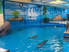 -海合安成都极地海洋公园