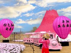 -祥源·阜阳生态乐园