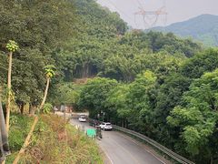 -广州市帽峰山景区