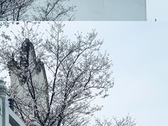 -洋湖国家湿地公园