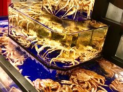 -蟹道乐(道顿堀本店)