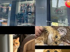 -御宝贝·A梦猫科宠物医院(国际猫友好医院)