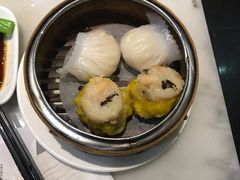 -糖朝(尖沙咀店)